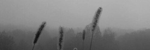 fxsoojun's profile banner image