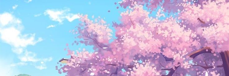 zgnurg's profile banner image