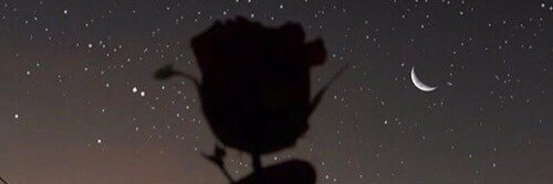 httpsstronger's profile banner image