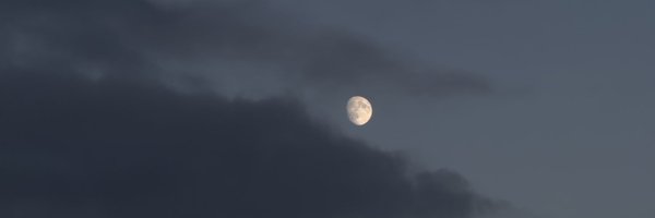 meldub_ Profile Banner