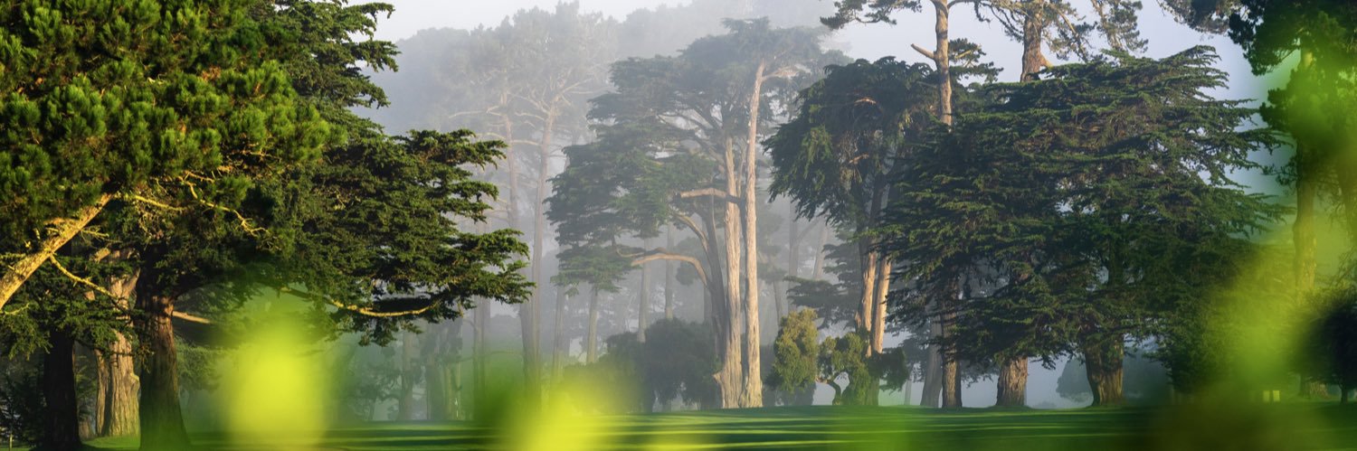 Scottie Warman banner