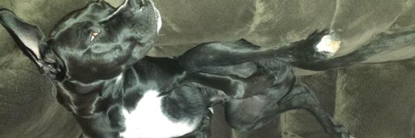 freels73 Profile Banner