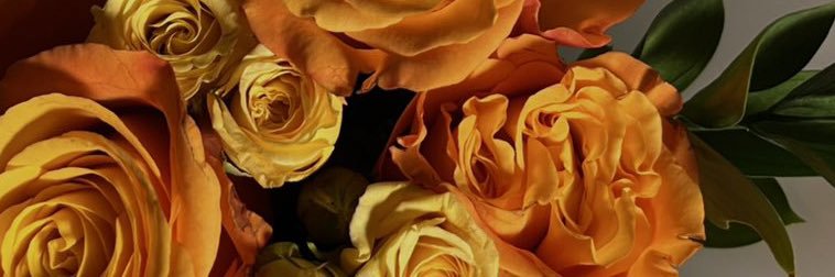 roo7alamll's profile banner image