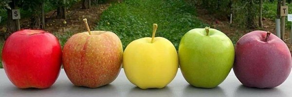 brahmos Profile Banner