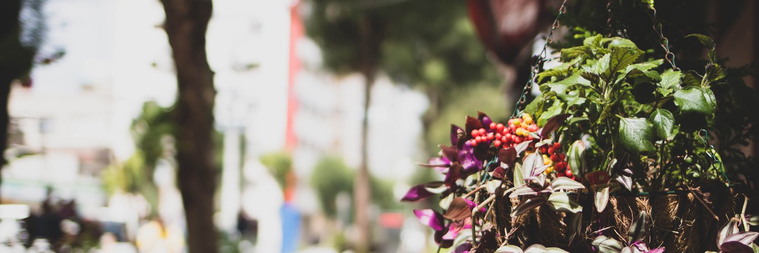 QnaGoobbueBot's profile banner image