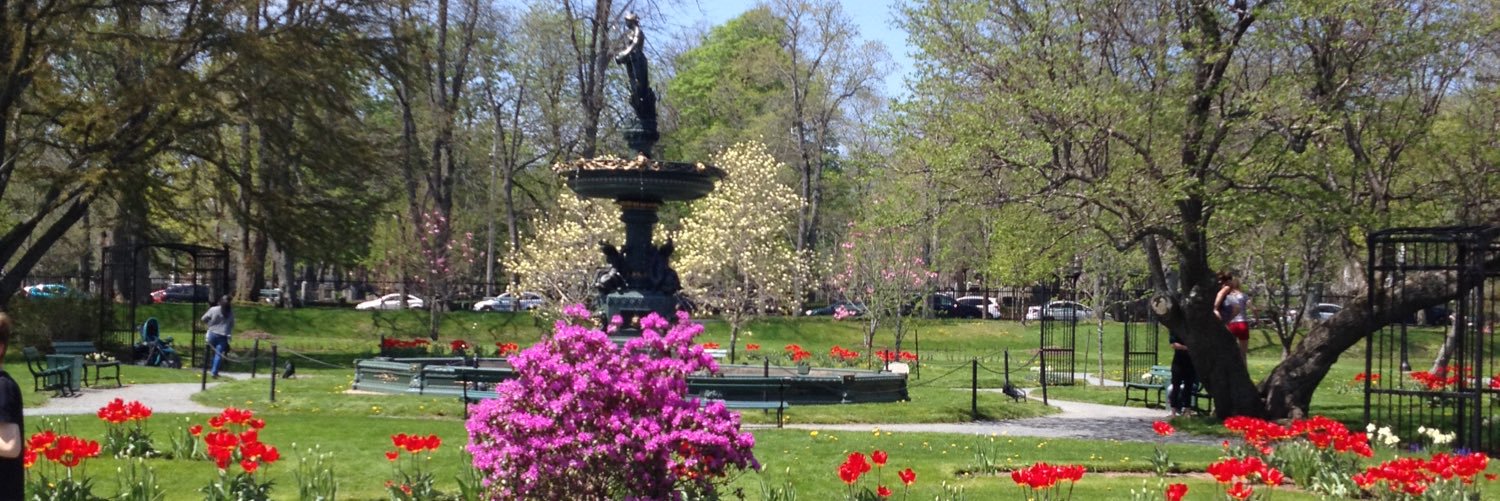 christine frigault banner