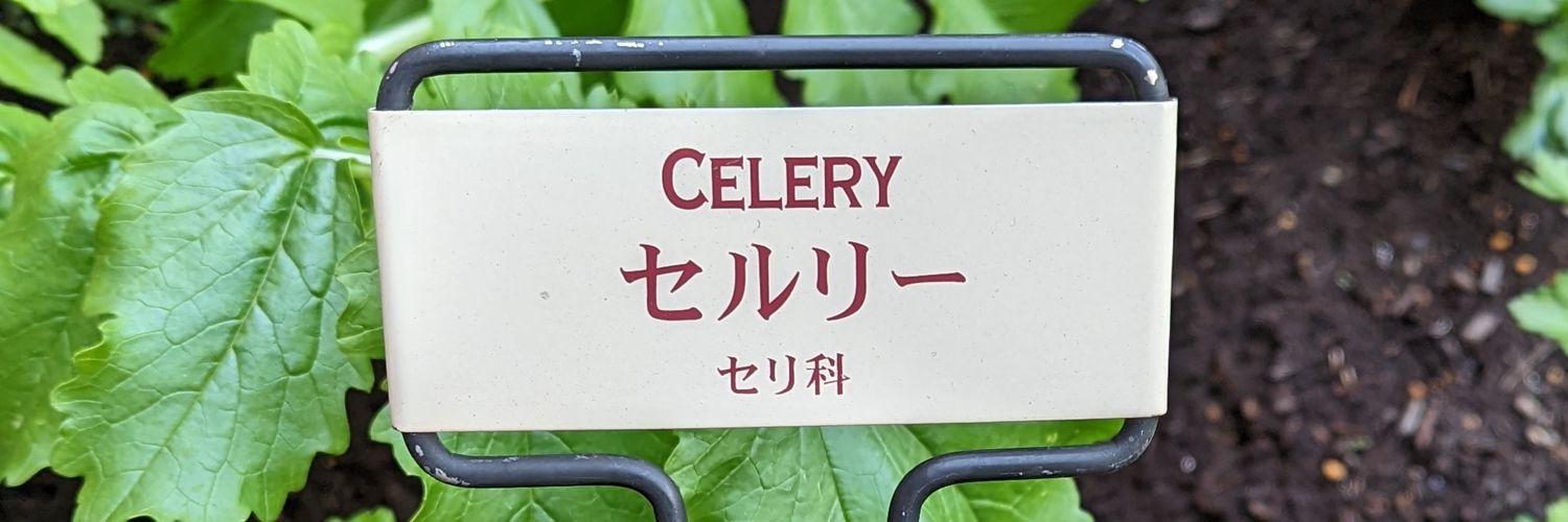 selery_425's profile banner image