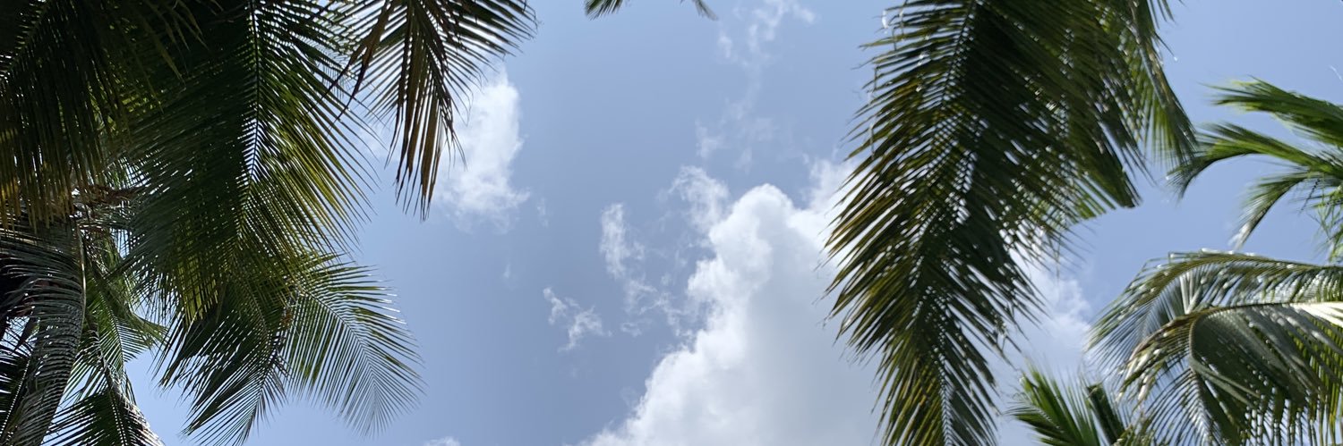 Marcusjnls's profile banner image