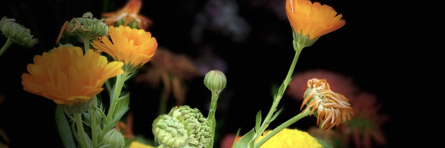 Dr Sanjay Singh banner