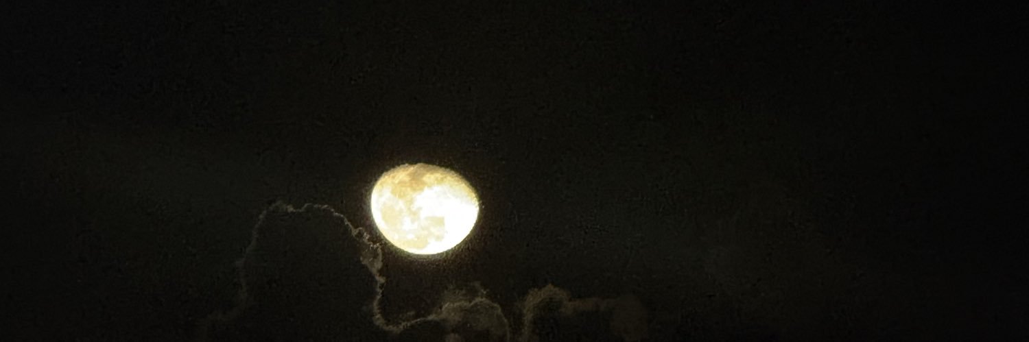 _pandreaa's profile banner image