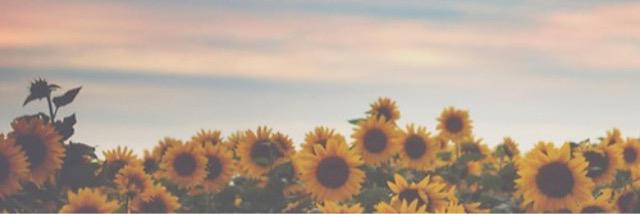 LexxKiefer's profile banner image