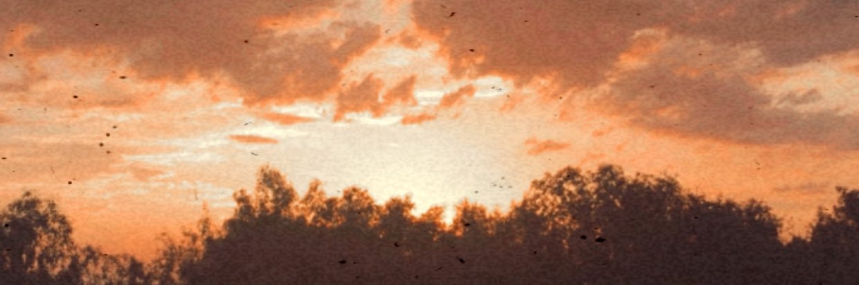 mlsasv's profile banner image