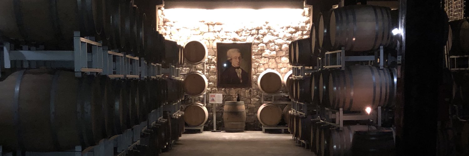 Francesco Lavezzari banner