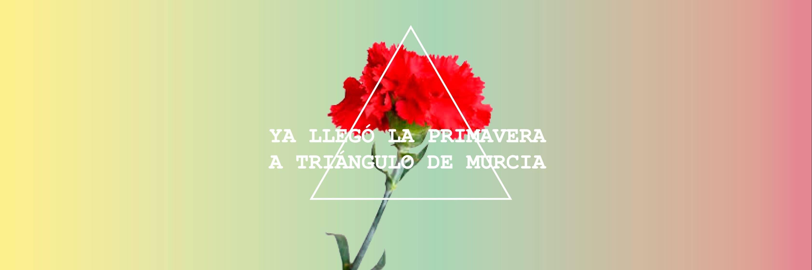 TrianguloMurcia's profile banner image
