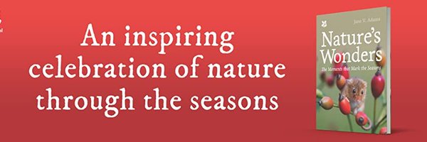 WildlifeStuff Profile Banner