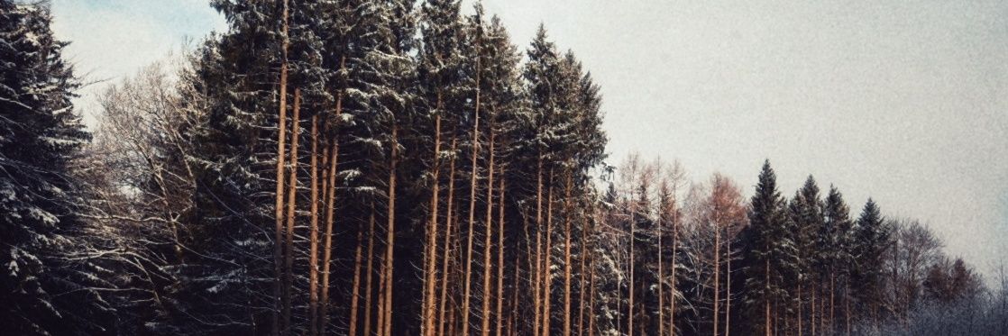 cosmorion's profile banner image