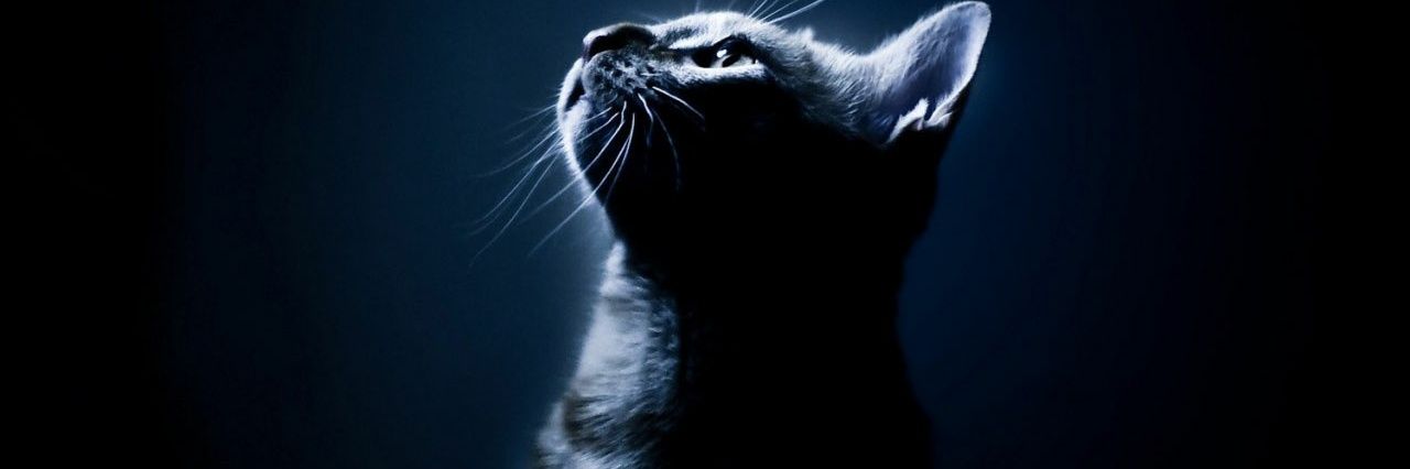 気まぐれの夜猫族🐈‍⬛🐾🐾(CODモバイル)弐クラン banner
