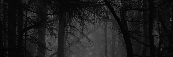 lorenasanf's profile banner image