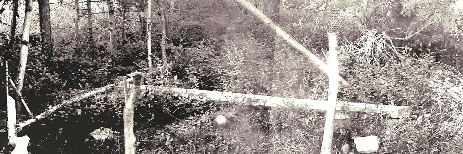 SickRickie's profile banner image