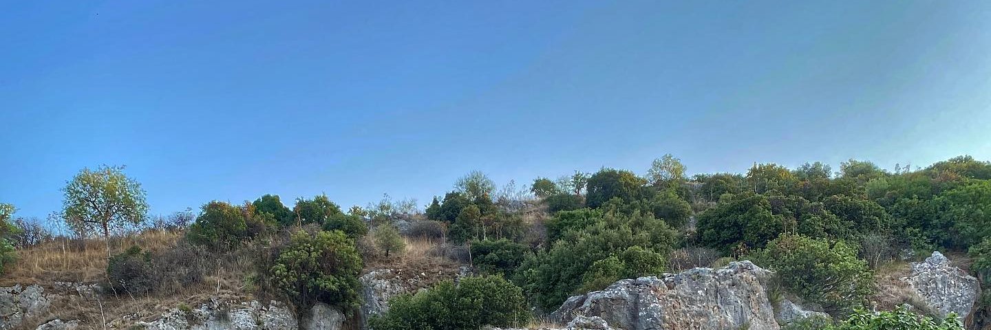 AleksBWhite's profile banner image