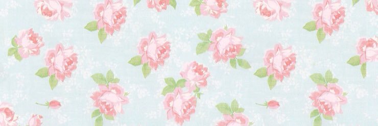 Anastasya Shely P banner