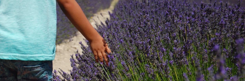 Sr. Rubén 🇪🇺 🏳️‍🌈 banner