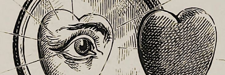 Palmtreesoasis's profile banner image