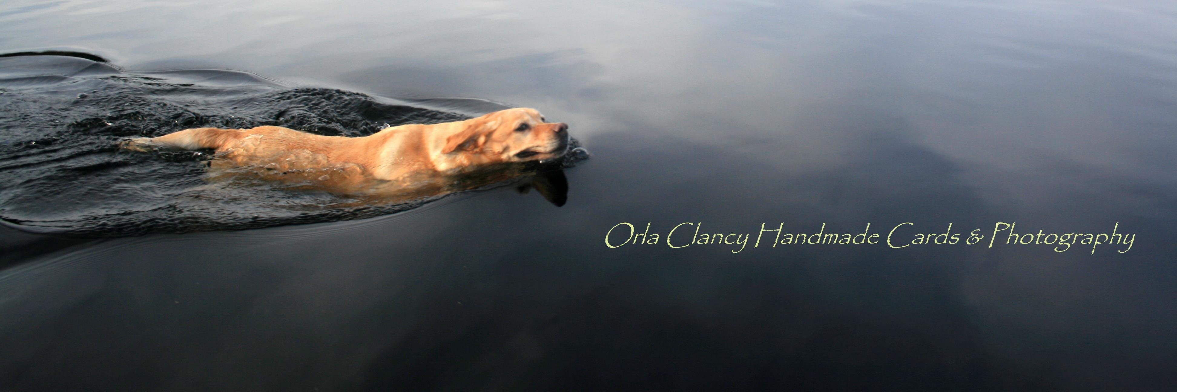oclancydesign's profile banner image
