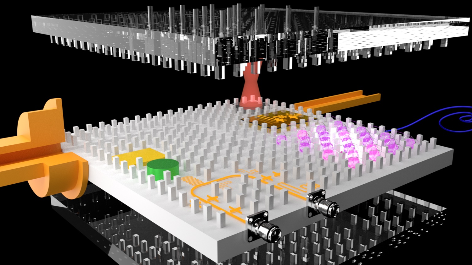 Aziza Suleymanzade banner