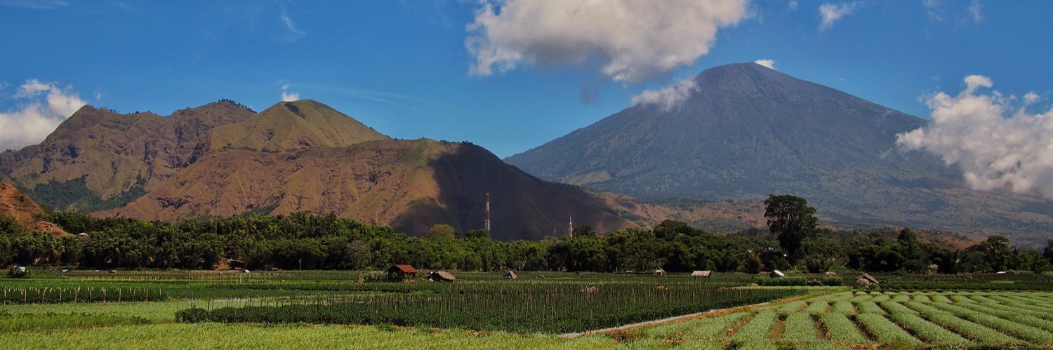 wikantjut's profile banner image