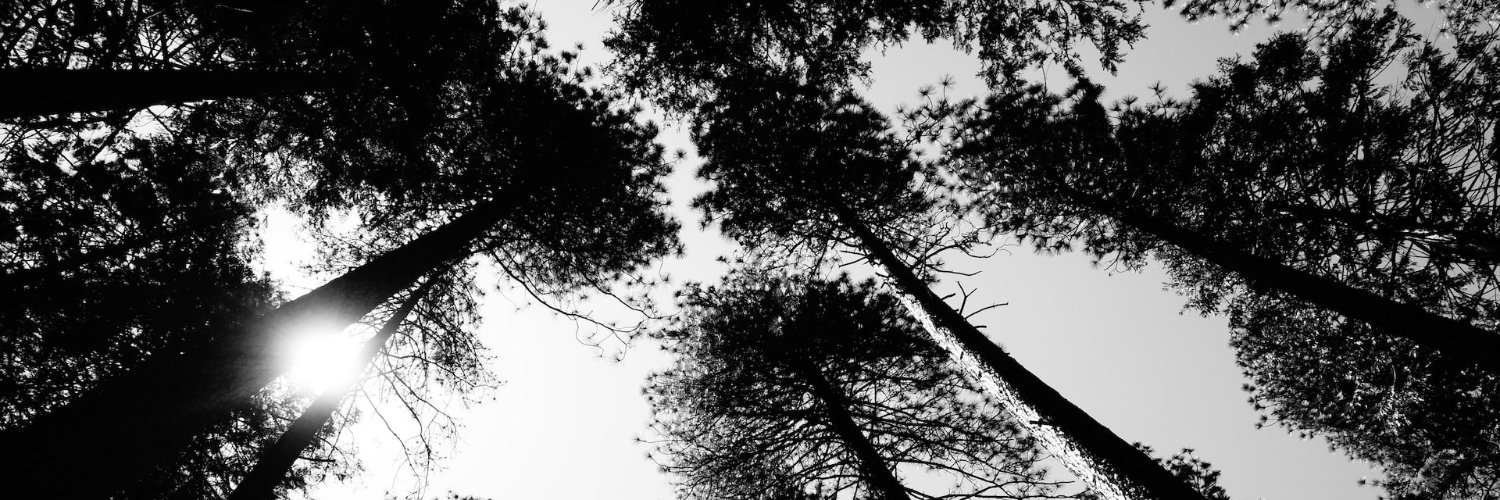 dwayne_pollak's profile banner image