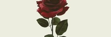 IfeelyouNavia's profile banner image