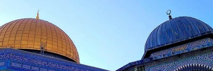 saadfathe's profile banner image