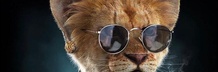 ChaChaZaGa's profile banner image