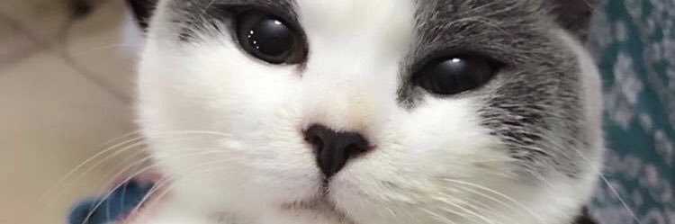 Davomanoooo's profile banner image