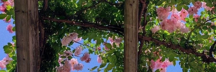 ตุ้มมง' ♡ banner