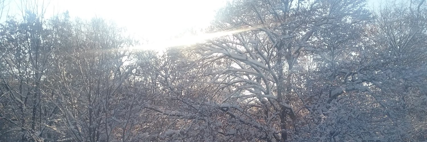 EllaRayKondrat's profile banner image