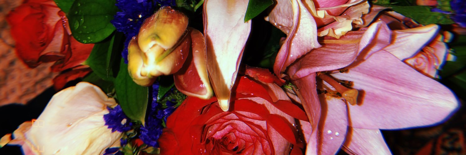 __hannns's profile banner image