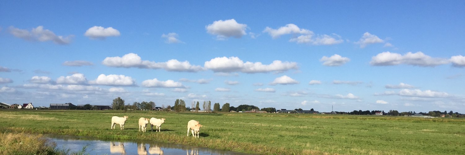 Sander de Vries banner