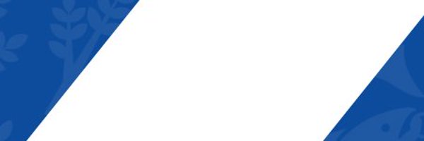 BroomhillFC Profile Banner