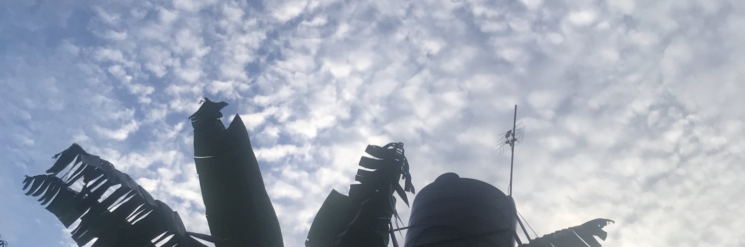 DjVirginGee's profile banner image