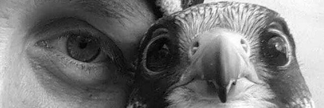 LKSilvia's profile banner image