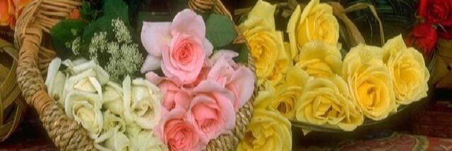 abms_7's profile banner image