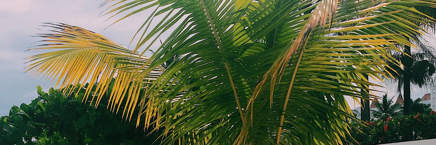 kayla_schmidty's profile banner image