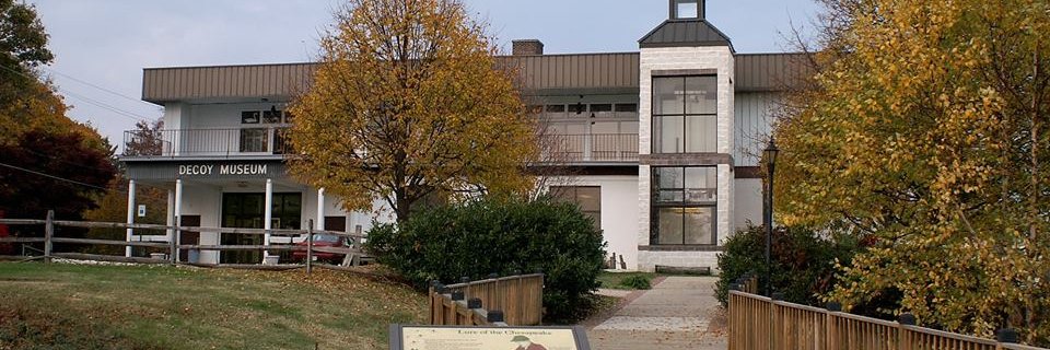DecoyMuseum's profile banner image
