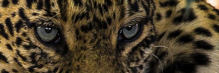 burtonbizzle's profile banner image