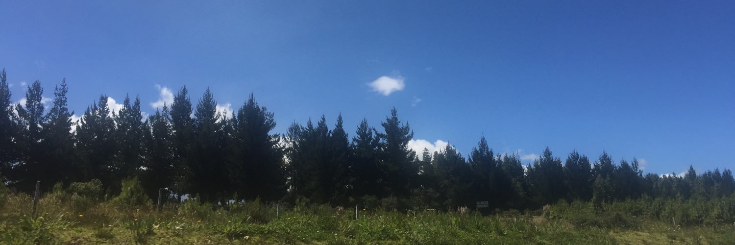 Gabyzamca's profile banner image