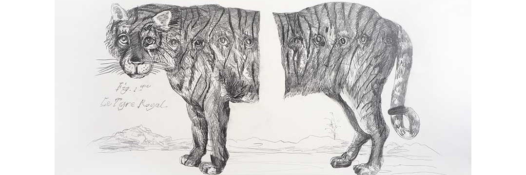 Edith Meijering banner