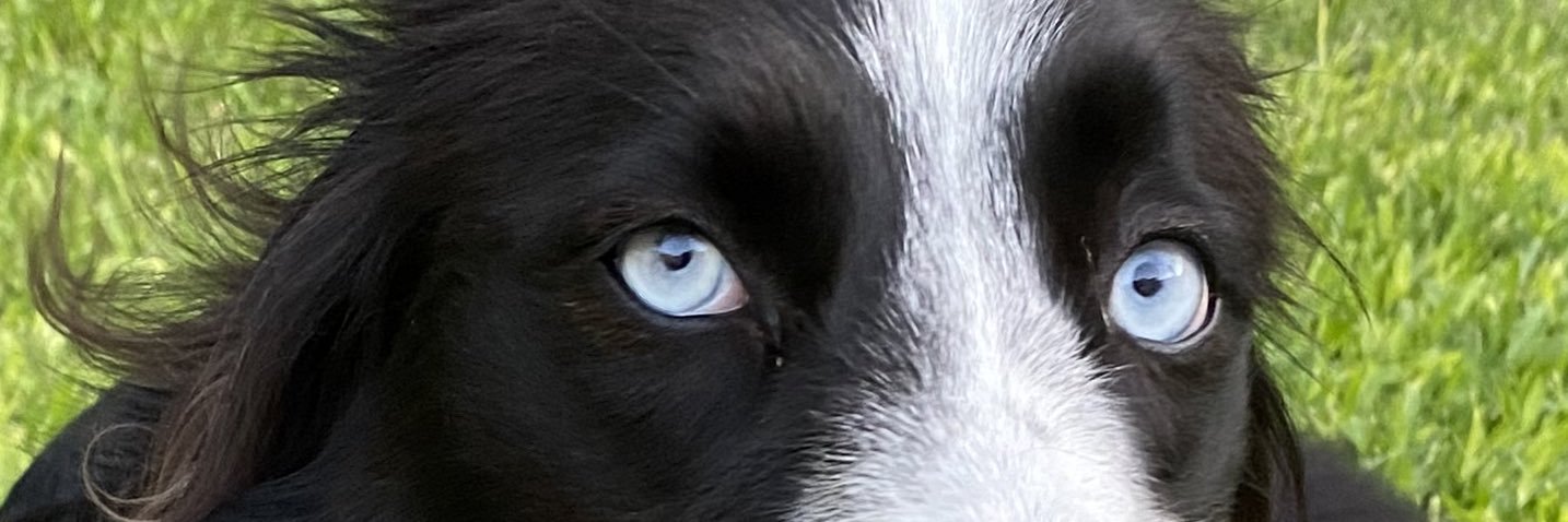 Maxi_Candal's profile banner image