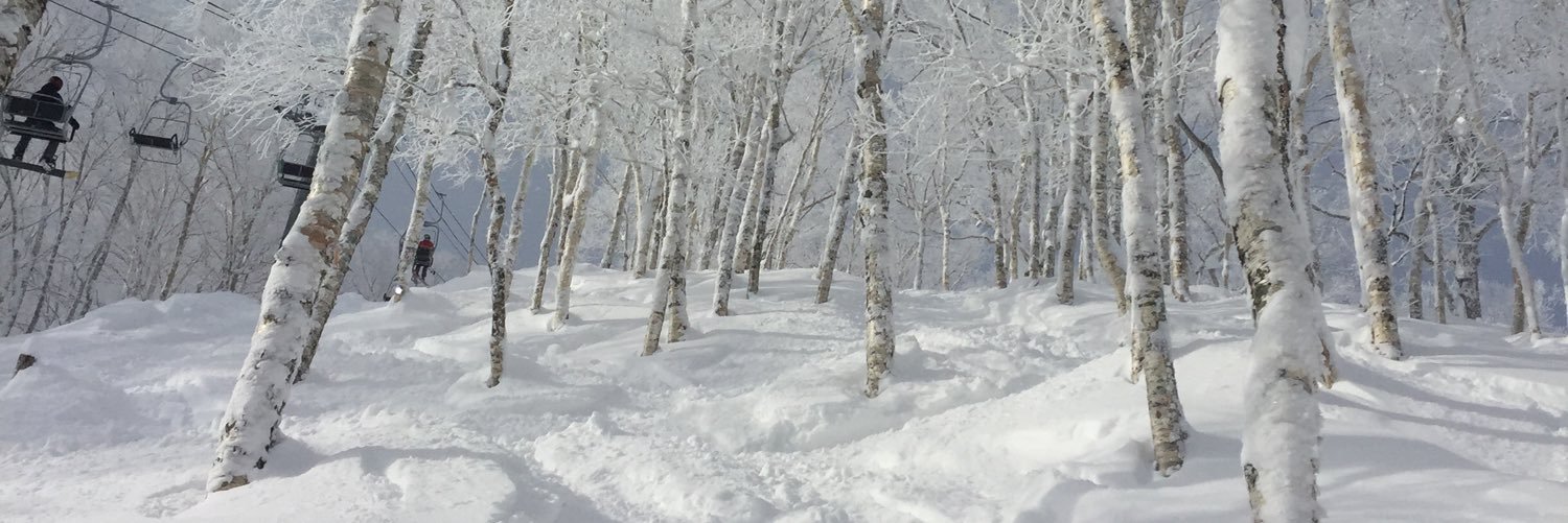 JoDog's profile banner image